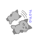 クロモフ猫さん（個別スタンプ：38）