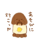 かまってほしそうなわんこ ver.2（個別スタンプ：1）