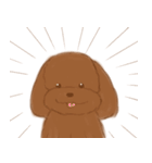 かまってほしそうなわんこ ver.2（個別スタンプ：9）