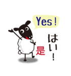 日本語、中国語、英語 ひつじ（個別スタンプ：1）