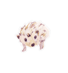 ハリネズミさんの日常（個別スタンプ：13）