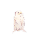 ハリネズミさんの日常（個別スタンプ：14）