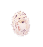 ハリネズミさんの日常（個別スタンプ：34）