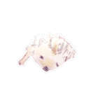 ハリネズミさんの日常（個別スタンプ：36）