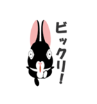 うさぎのくう～（個別スタンプ：16）