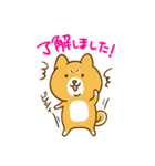 ゆるカワ 柴犬（個別スタンプ：1）