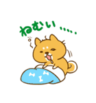 ゆるカワ 柴犬（個別スタンプ：3）