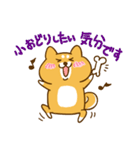 ゆるカワ 柴犬（個別スタンプ：8）