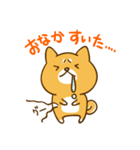 ゆるカワ 柴犬（個別スタンプ：9）