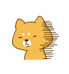 ゆるカワ 柴犬（個別スタンプ：12）