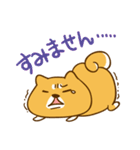 ゆるカワ 柴犬（個別スタンプ：17）