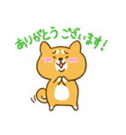 ゆるカワ 柴犬（個別スタンプ：25）