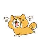 ゆるカワ 柴犬（個別スタンプ：30）