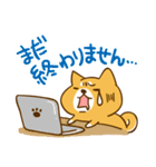ゆるカワ 柴犬（個別スタンプ：35）
