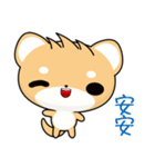 Shiba inu (Everyday Life)（個別スタンプ：1）