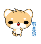 Shiba inu (Everyday Life)（個別スタンプ：2）