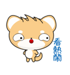 Shiba inu (Everyday Life)（個別スタンプ：3）