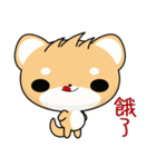 Shiba inu (Everyday Life)（個別スタンプ：7）