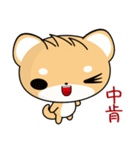 Shiba inu (Everyday Life)（個別スタンプ：8）