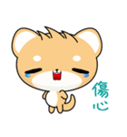 Shiba inu (Everyday Life)（個別スタンプ：18）