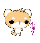 Shiba inu (Everyday Life)（個別スタンプ：21）