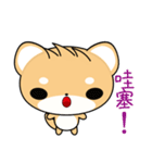 Shiba inu (Everyday Life)（個別スタンプ：23）