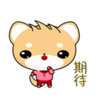 Shiba inu (Everyday Life)（個別スタンプ：26）