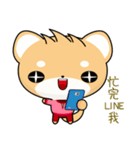 Shiba inu (Everyday Life)（個別スタンプ：28）