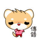 Shiba inu (Everyday Life)（個別スタンプ：31）