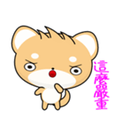 Shiba inu (Everyday Life)（個別スタンプ：33）