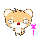 Shiba inu (Everyday Life)（個別スタンプ：34）