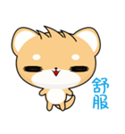 Shiba inu (Everyday Life)（個別スタンプ：37）