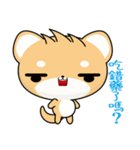 Shiba inu (Everyday Life)（個別スタンプ：38）