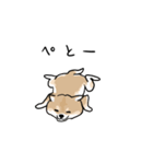柴犬タロウ（個別スタンプ：6）