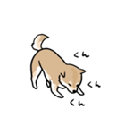 柴犬タロウ（個別スタンプ：20）