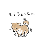 柴犬タロウ（個別スタンプ：26）