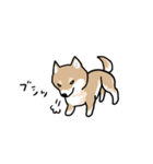 柴犬タロウ（個別スタンプ：31）