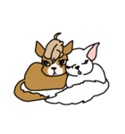 前髪わんこ。（個別スタンプ：20）