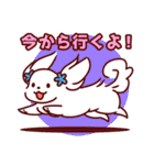 日常使い☆マルチーズファミリー（個別スタンプ：2）