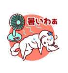 日常使い☆マルチーズファミリー（個別スタンプ：4）