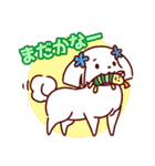 日常使い☆マルチーズファミリー（個別スタンプ：6）