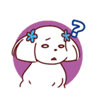 日常使い☆マルチーズファミリー（個別スタンプ：10）