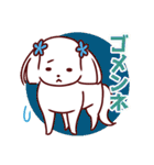 日常使い☆マルチーズファミリー（個別スタンプ：12）