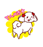 日常使い☆マルチーズファミリー（個別スタンプ：14）