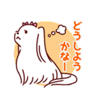 日常使い☆マルチーズファミリー（個別スタンプ：28）