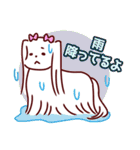 日常使い☆マルチーズファミリー（個別スタンプ：35）