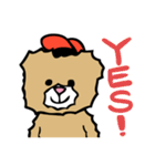 ☆たわし☆の妖精（個別スタンプ：1）