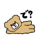 ☆たわし☆の妖精（個別スタンプ：23）