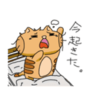 トラネコの日々2（個別スタンプ：1）