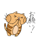 トラネコの日々2（個別スタンプ：16）